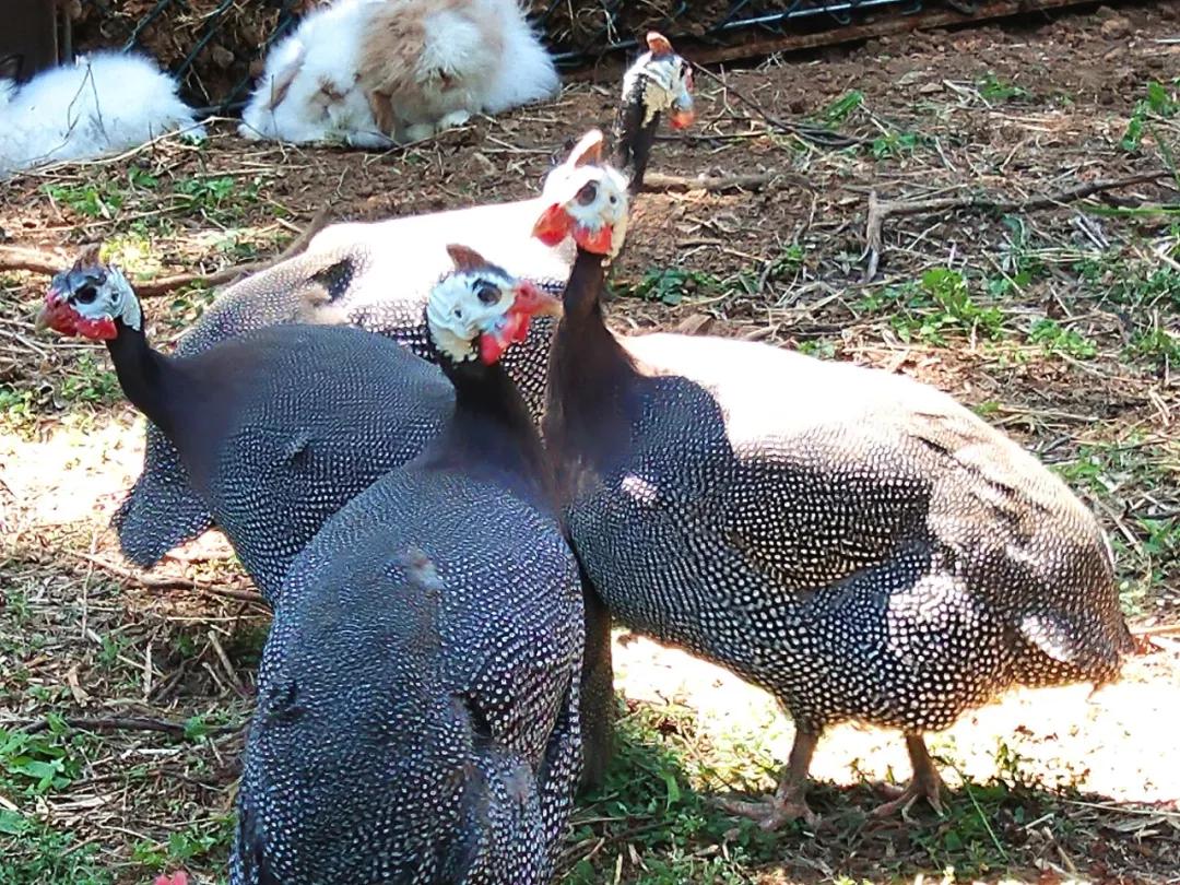 微信圖片_20190529160553.jpg 微信圖片_20190529160553.jpg