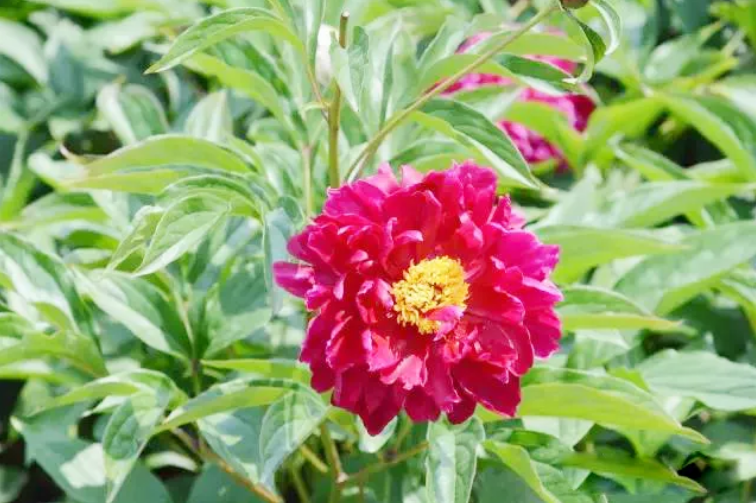 QQ瀏覽器截圖20190507215138.png QQ瀏覽器截圖20190507215138.png