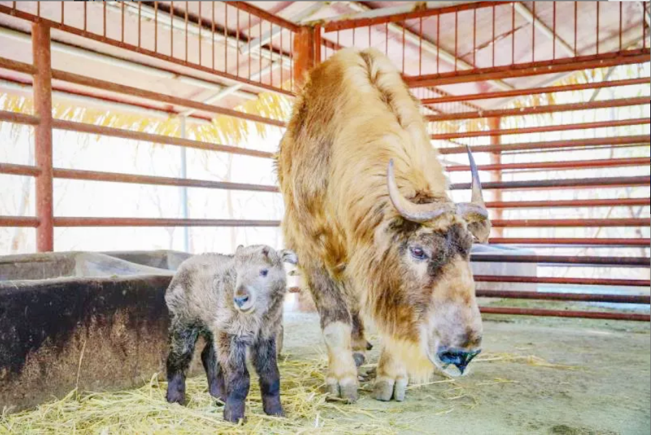 QQ瀏覽器截圖20190507214356.png QQ瀏覽器截圖20190507214356.png