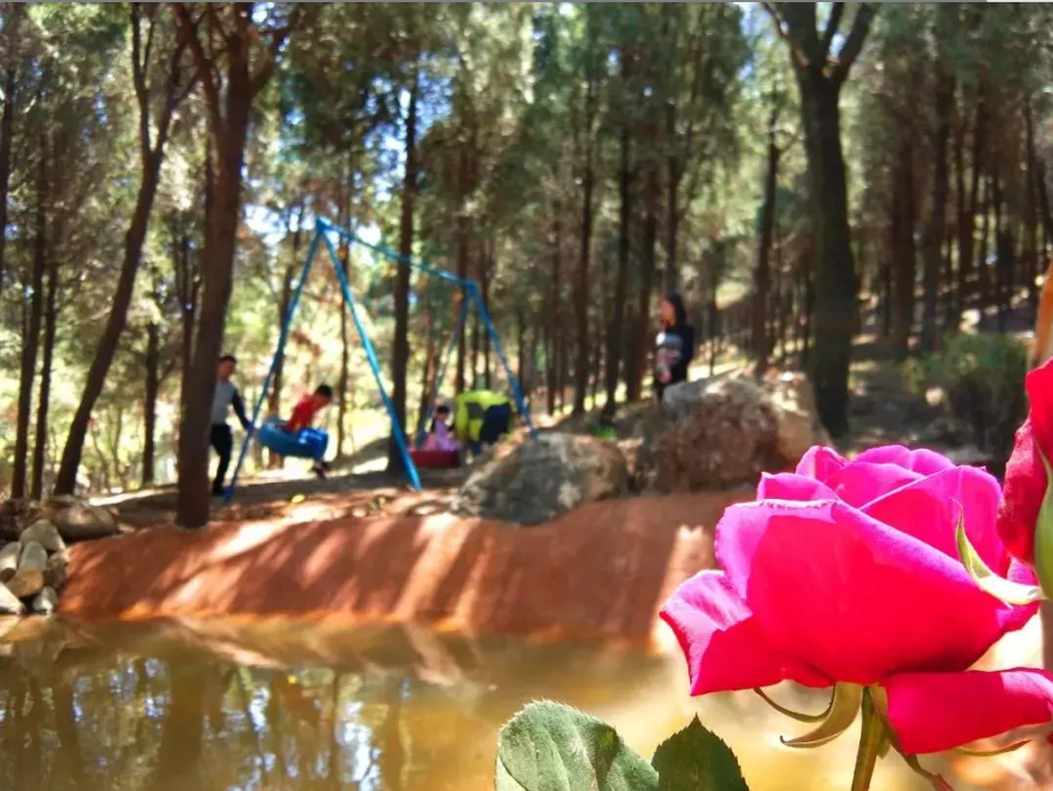 QQ瀏覽器截圖20190507214642.png QQ瀏覽器截圖20190507214642.png