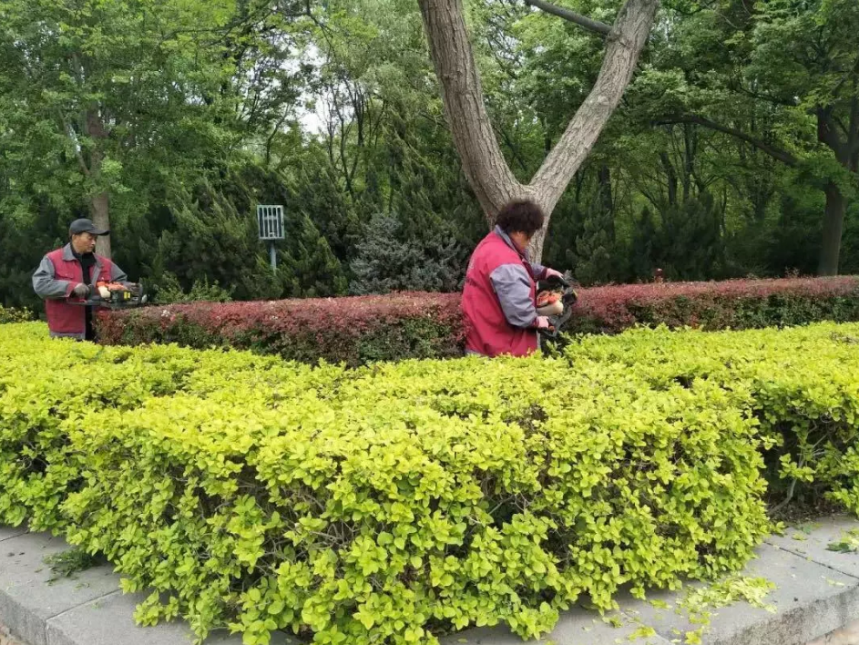 QQ瀏覽器截圖20190507215430.png QQ瀏覽器截圖20190507215430.png