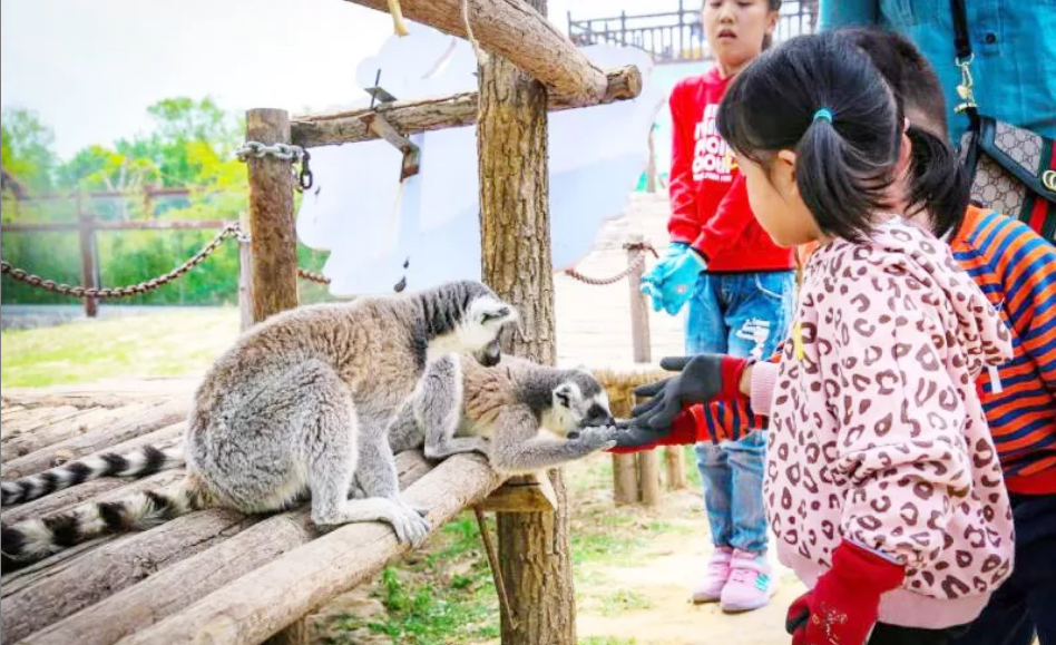 QQ瀏覽器截圖20190507214204.png QQ瀏覽器截圖20190507214204.png