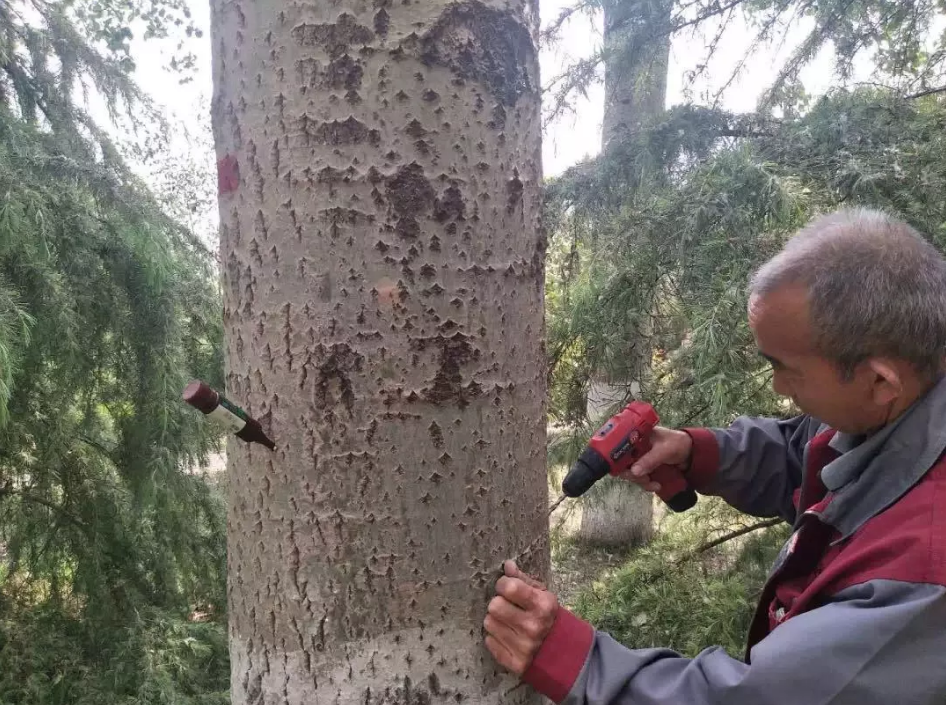 QQ瀏覽器截圖20190507215353.png QQ瀏覽器截圖20190507215353.png