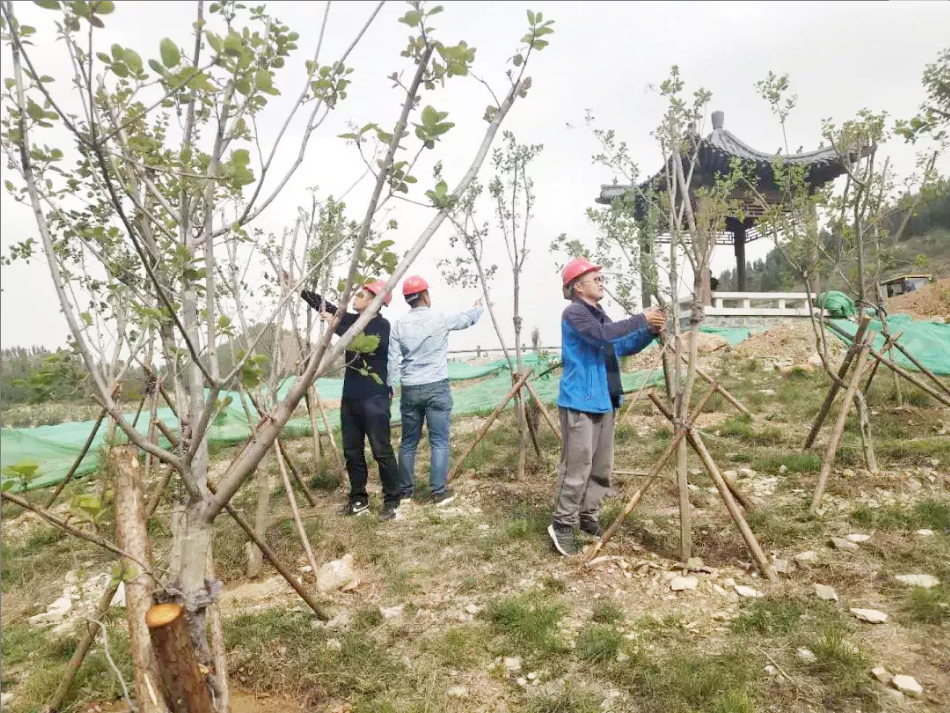 QQ瀏覽器截圖20190507215238.png QQ瀏覽器截圖20190507215238.png