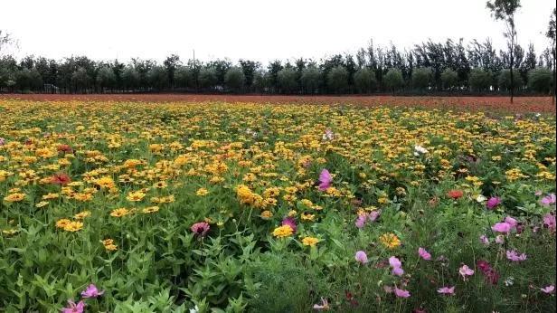 考察3.jpg 考察3.jpg